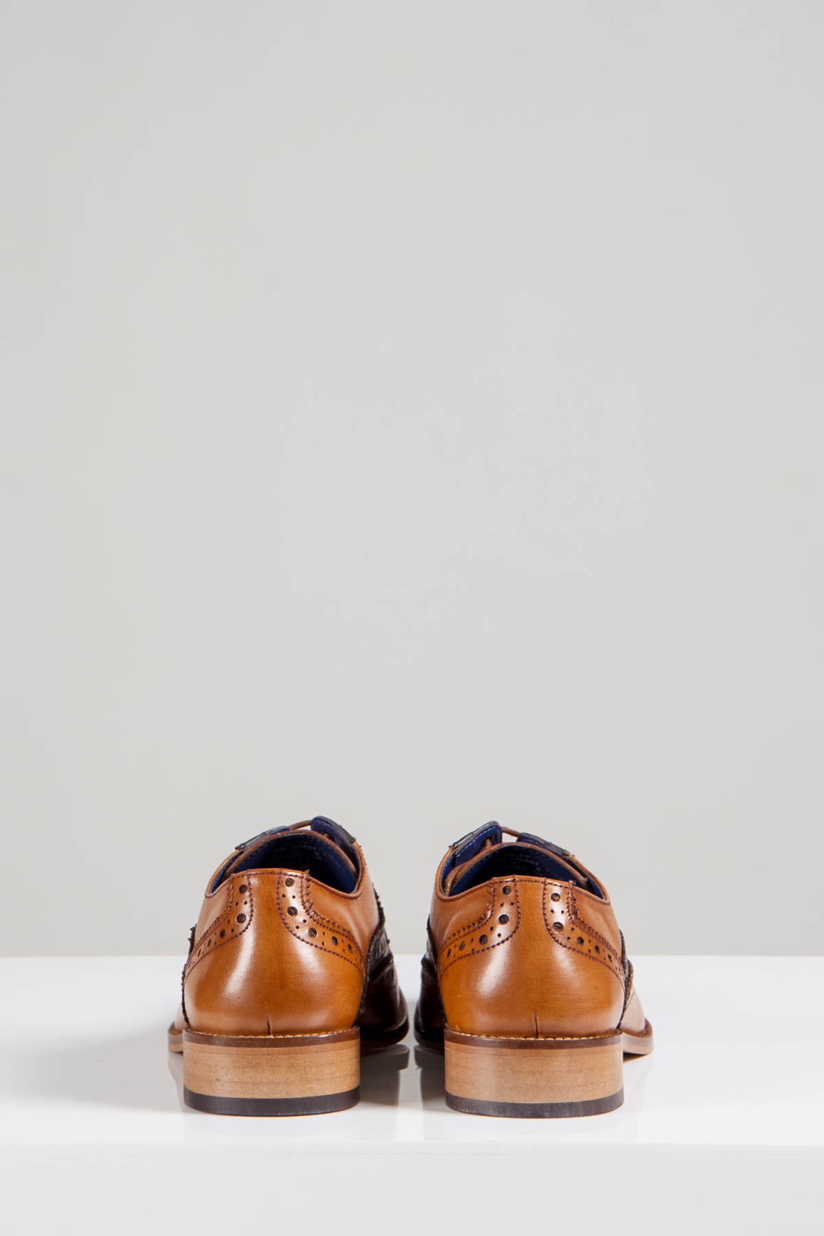 A pair of Marc Darcy RILEY Tan Navy Leather Contrast Oxford Brogue Shoes are displayed side by side from the back on a white surface against a plain light background.