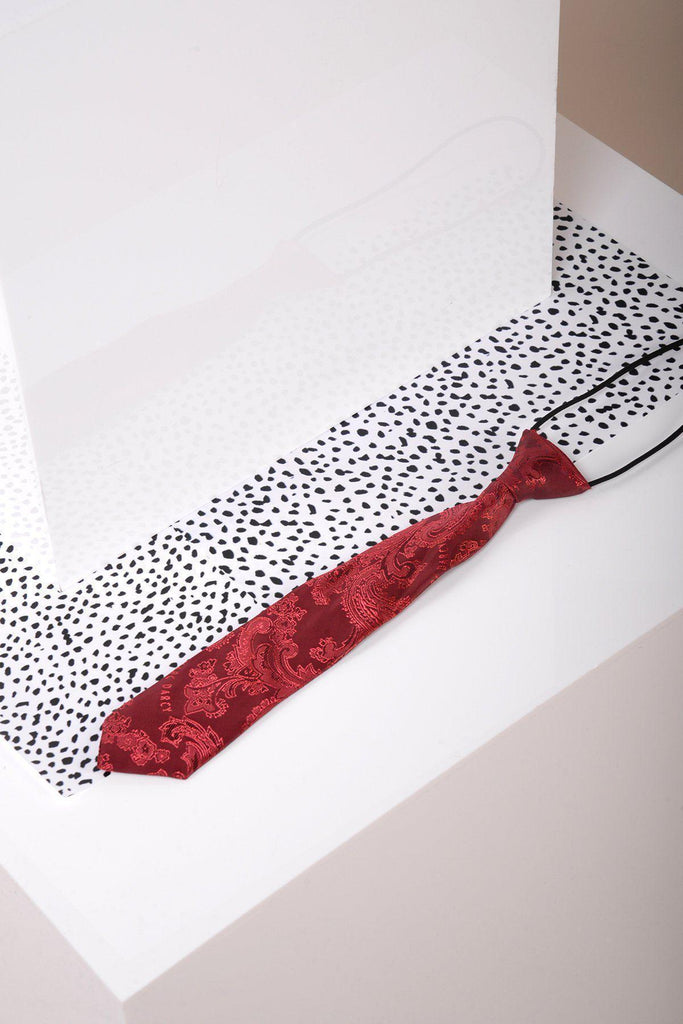 Paisley Print Tie