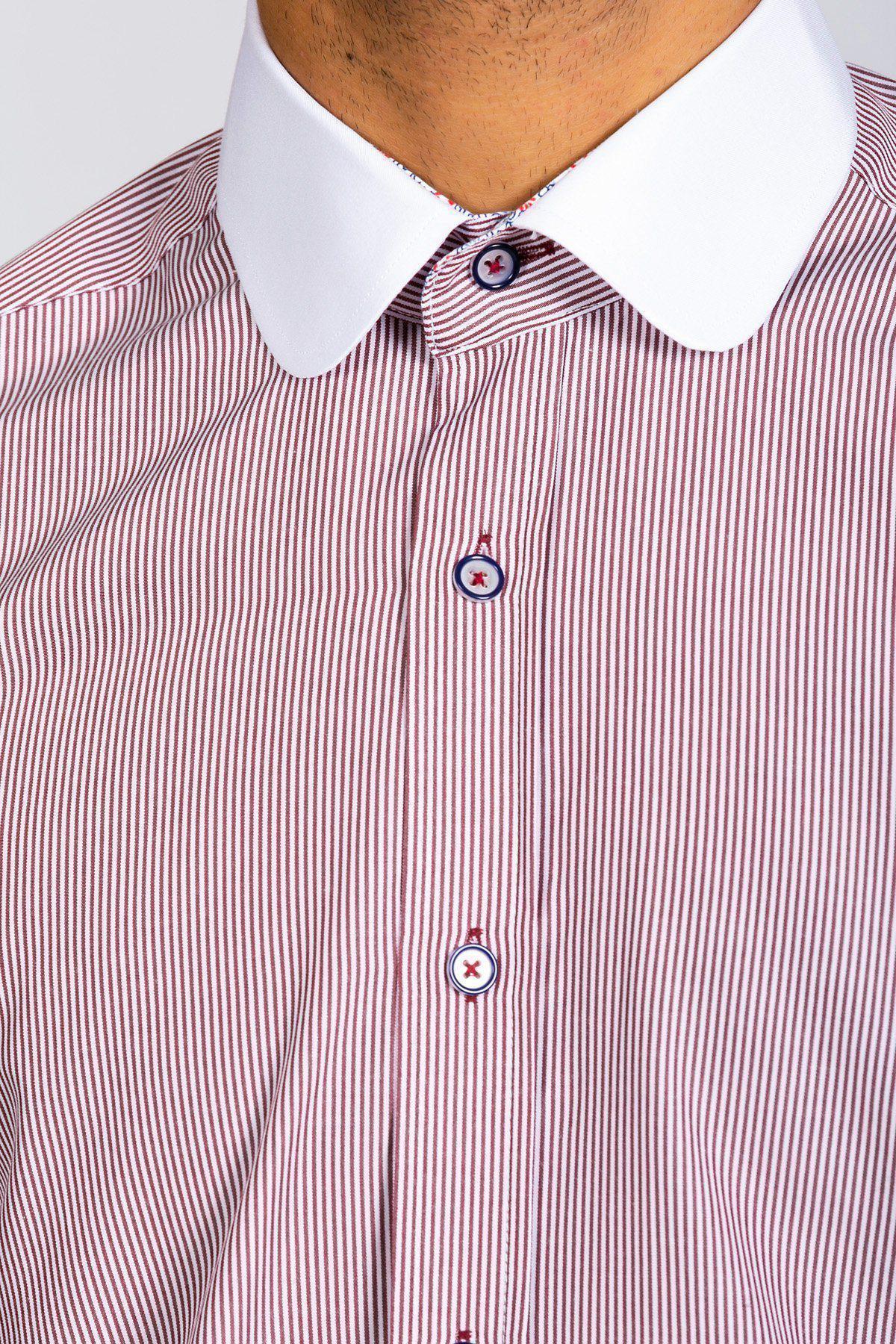 A close-up shows the lower face and torso of a person wearing the Marc Darcy SHELBY - Wine Stripe Penny Collar Shirt, featuring thin red and white stripes, a contrast white spread collar, and buttons with red and blue accents.